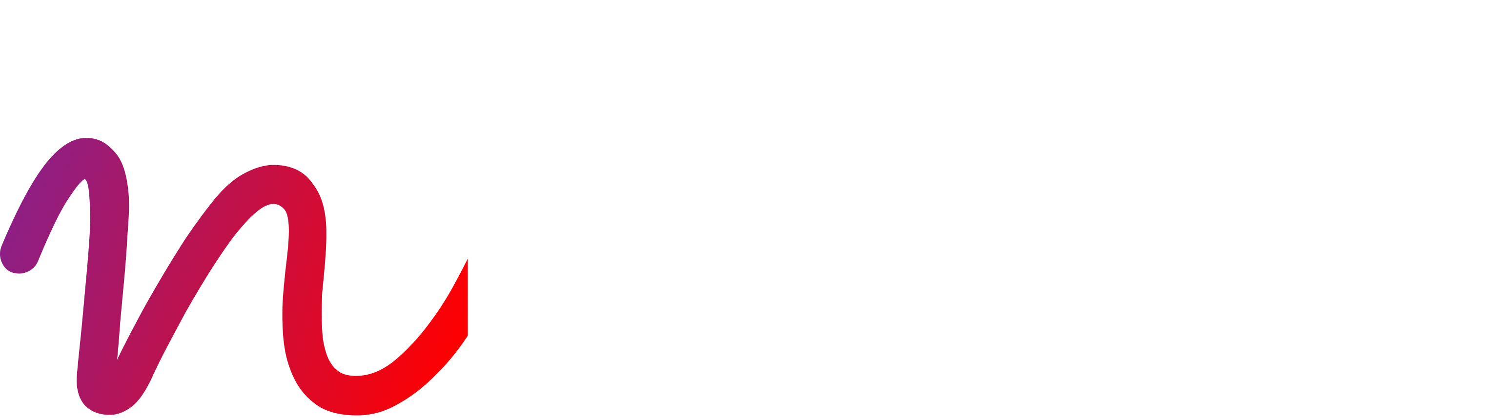nBold logo